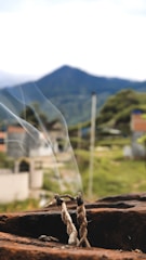 Two twisted incense sticks are burning on a surface in the foreground, with smoke gently rising from their tips. In the background, an out-of-focus view of a mountainous landscape can be seen, with patches of greenery and scattered structures.
