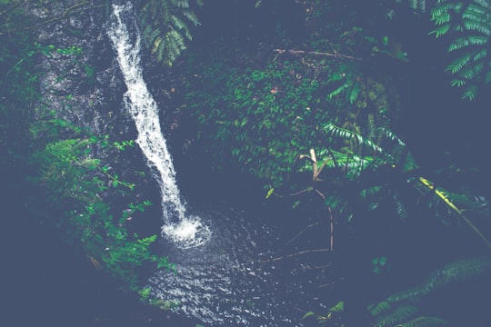 time lapse photography of waterfalls in Maunawili Falls United States