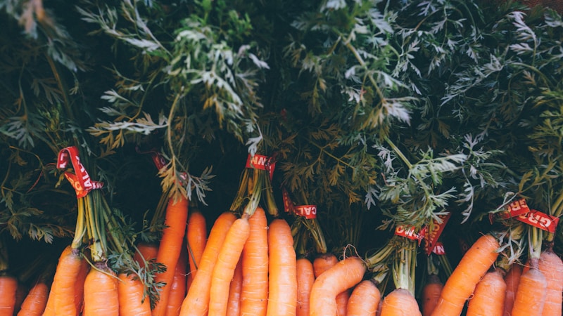 Carrot leaves.