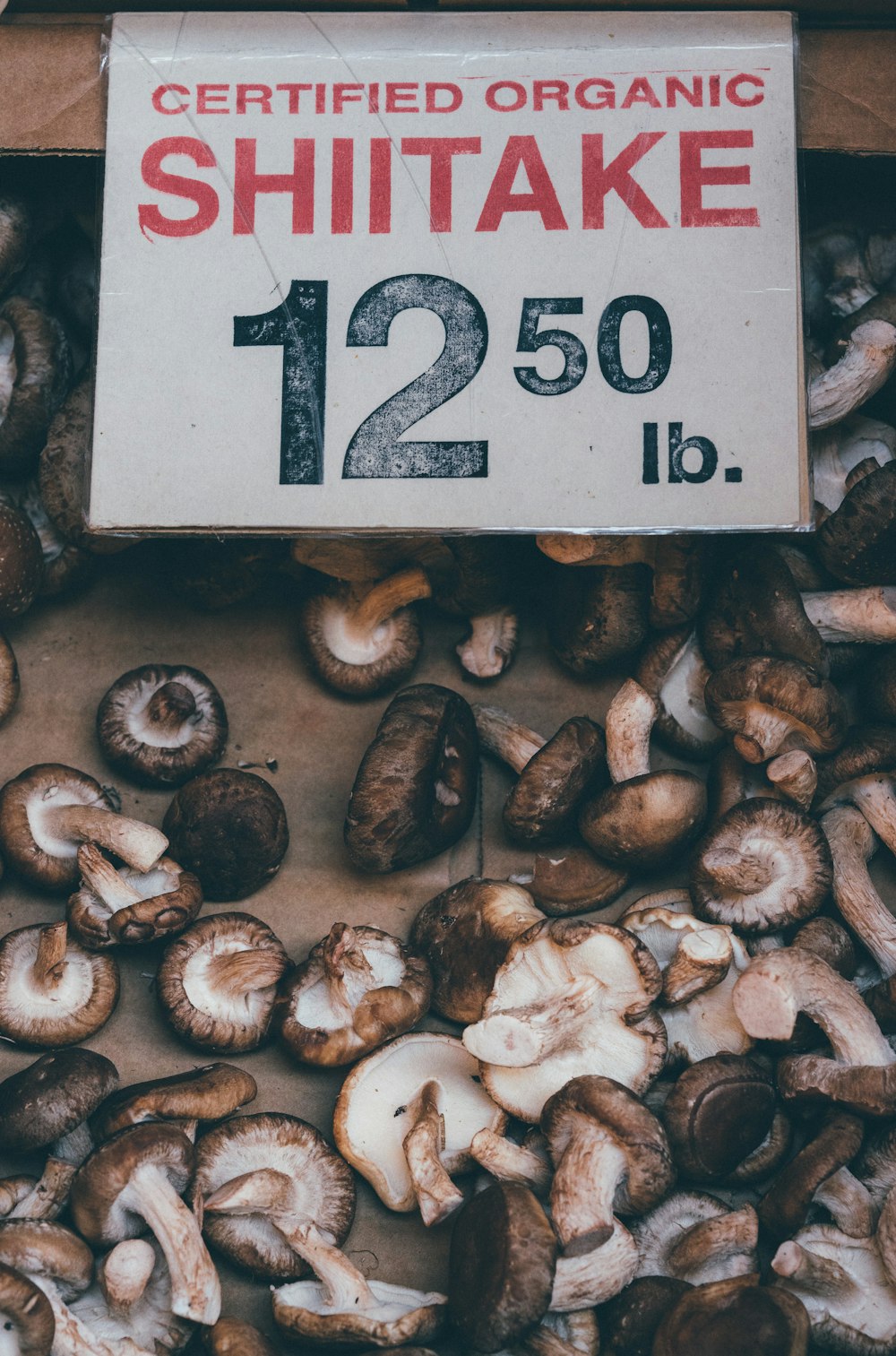 유기농 인증 표고버섯 팩