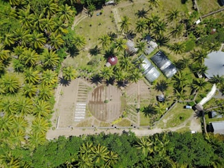 An aerial view of a lush green landscape featuring dense clusters of palm trees surrounding a structured garden area with various sections of cultivated soil. There are greenhouses and scattered buildings among the trees, indicating an organized agricultural or permaculture operation.
