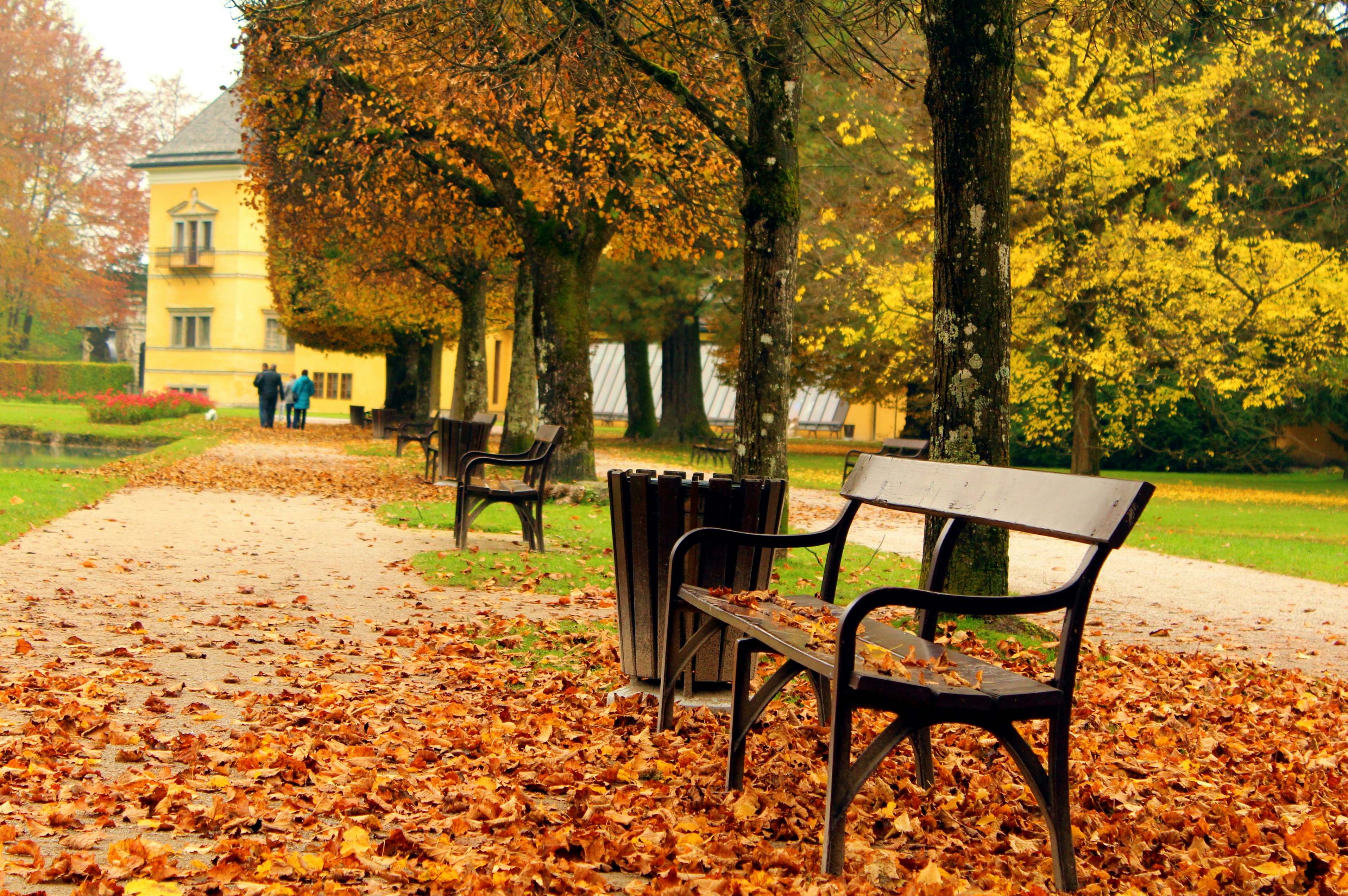 Blind Spots: How Double-Blind Studies Outsmart Human Bias