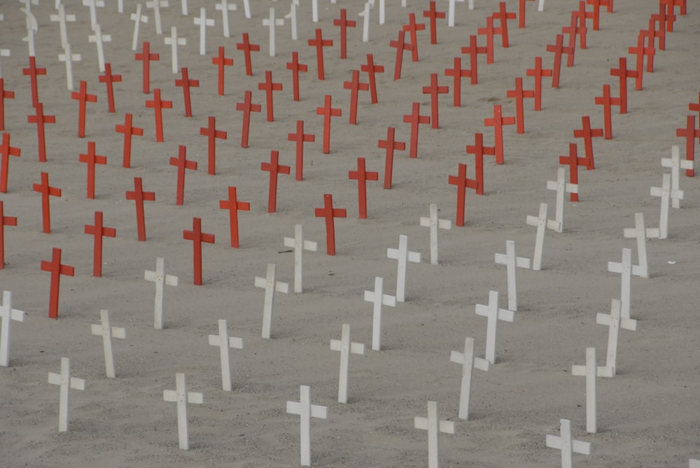 Campo del cimitero della Croce Bianca e Rossa