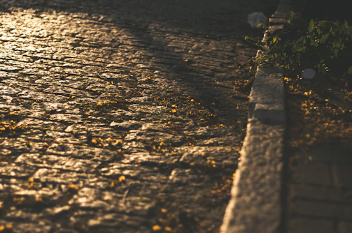 Soft afternoon light casting shadows across a textured flagstone pathway in a historic European garden.