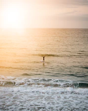 person standing on paddle board on body of water