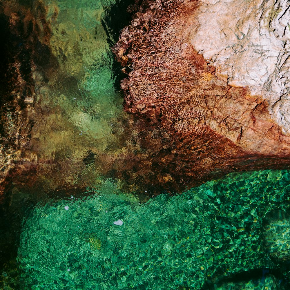 aerial photography of body of water and rock