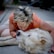 A woman with short, blonde hair is lying on the ground, affectionately embracing and kissing a large, fluffy white dog. The setting appears to be outdoors on a concrete surface.