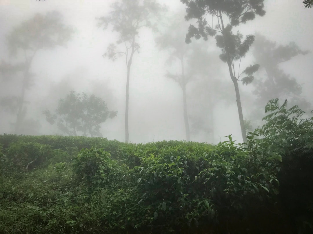 Hill station photo spot Little Adam's Peak Ella Rock