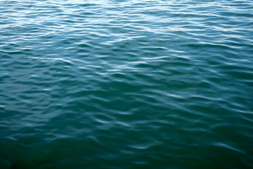 calm body of water during daytime