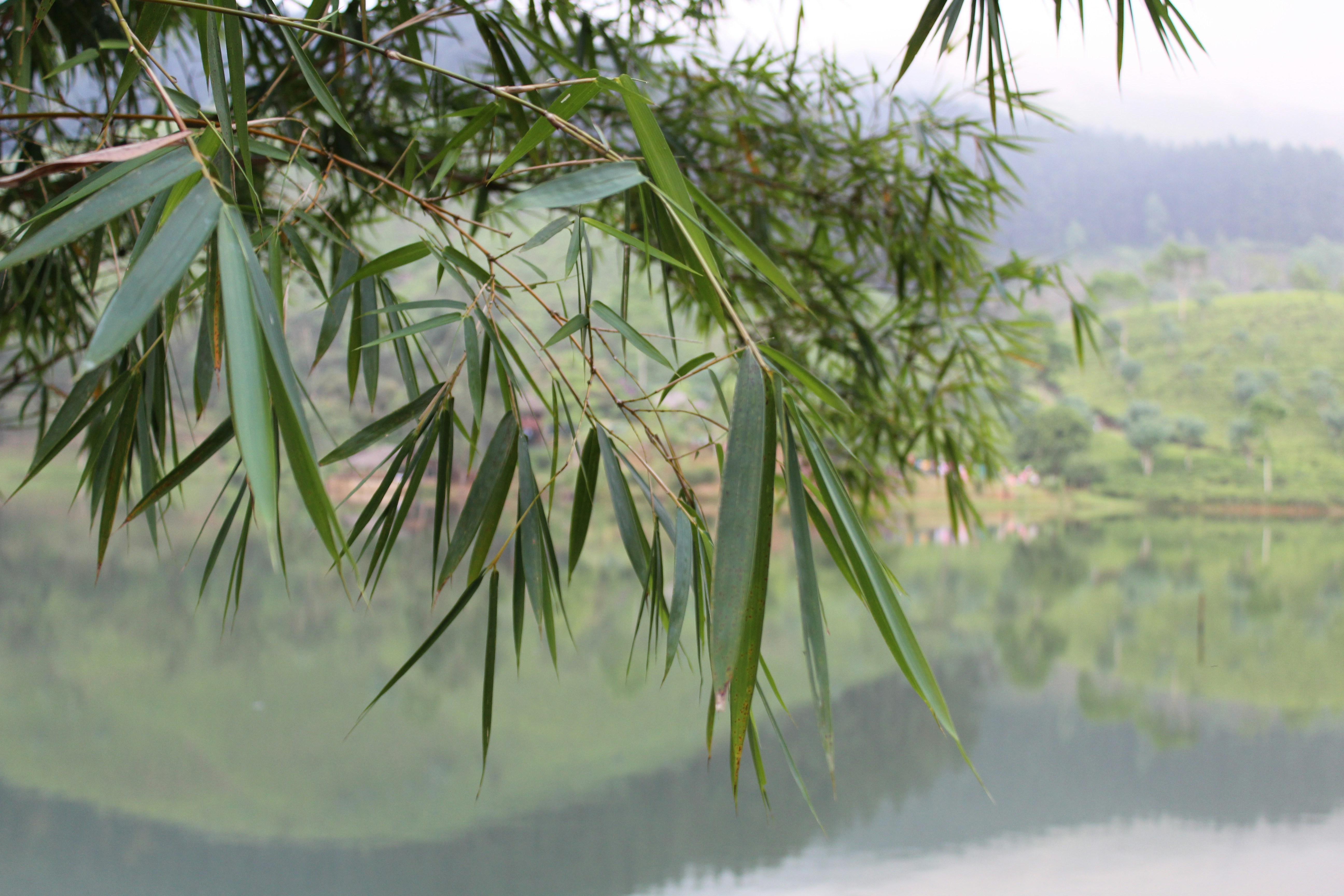 The Binding Problem: How Separate Brain Regions Create Unified Experience