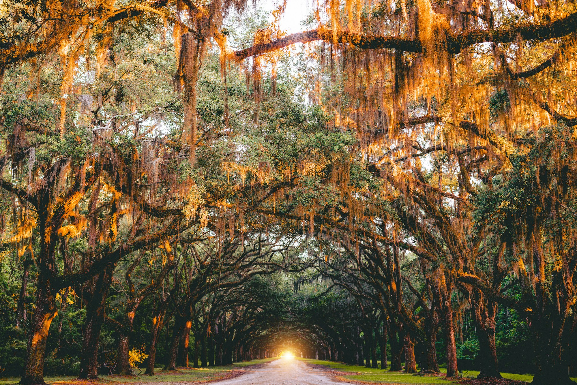 Best Time to Visit Savannah: Weather Guide