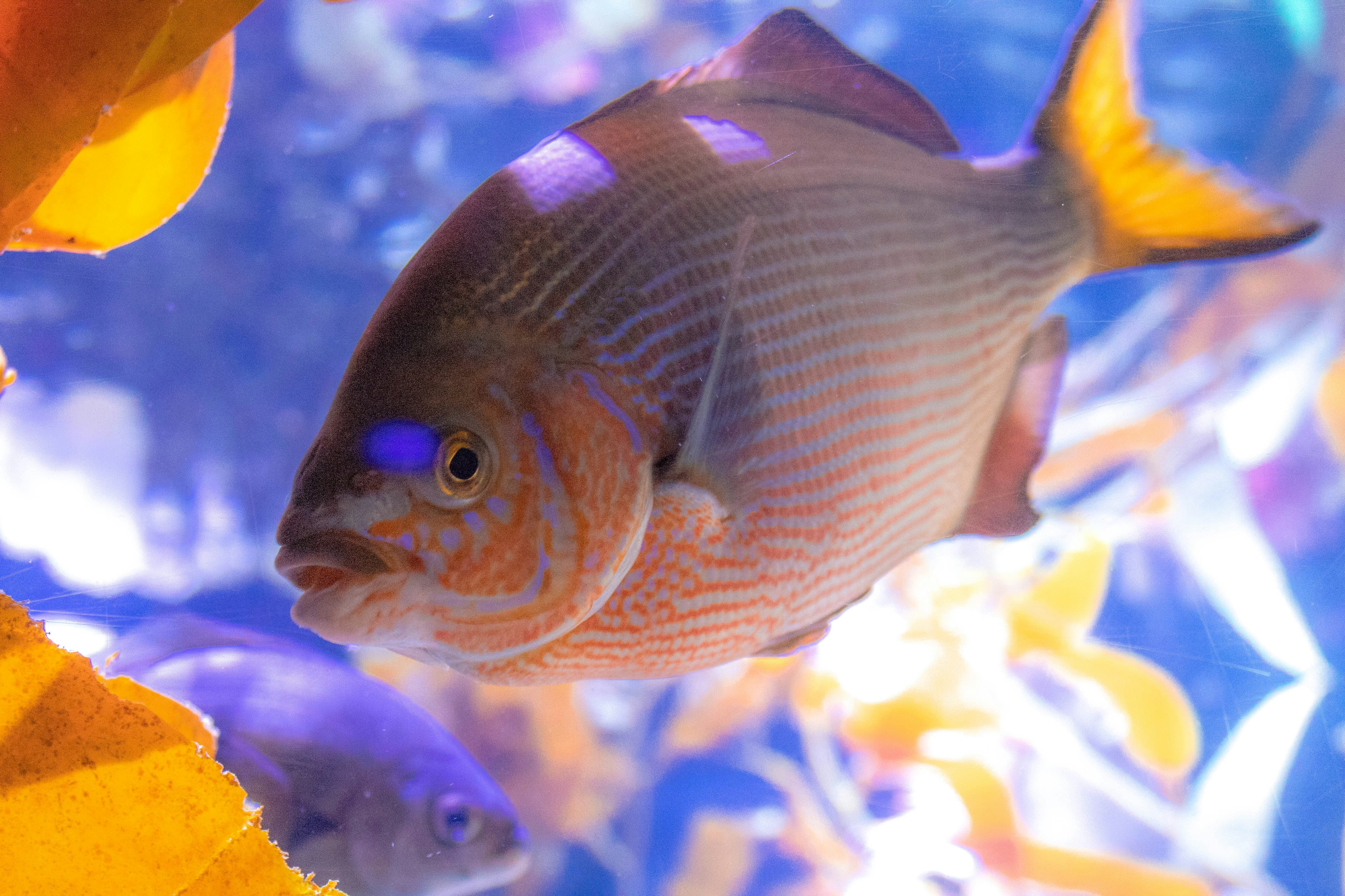 Why Your Tax Refund Isn't Free Money: Understanding Government Cash Flow