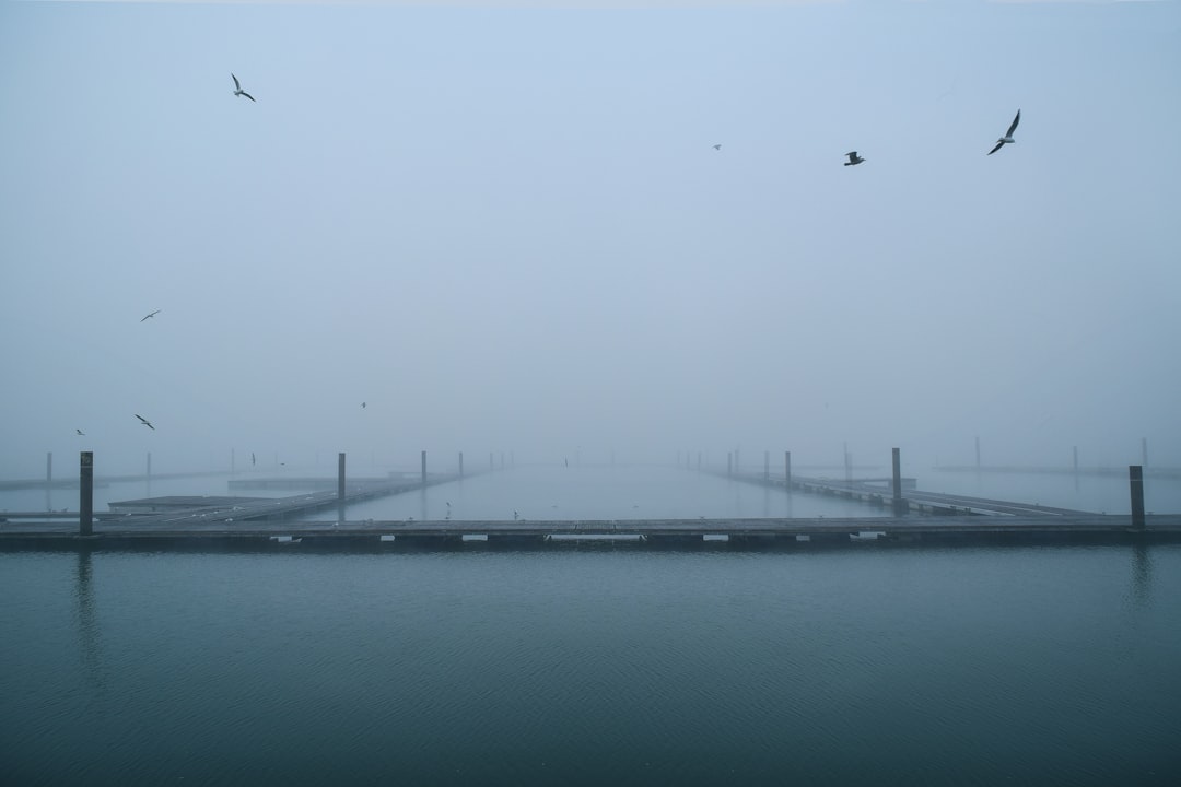 Bridge photo spot Southampton Guildford