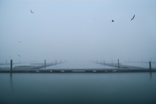 photo of Southampton Bridge near South Parade Pier
