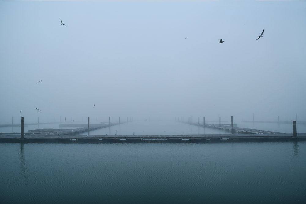 photography wooden dock near body of water during daytime