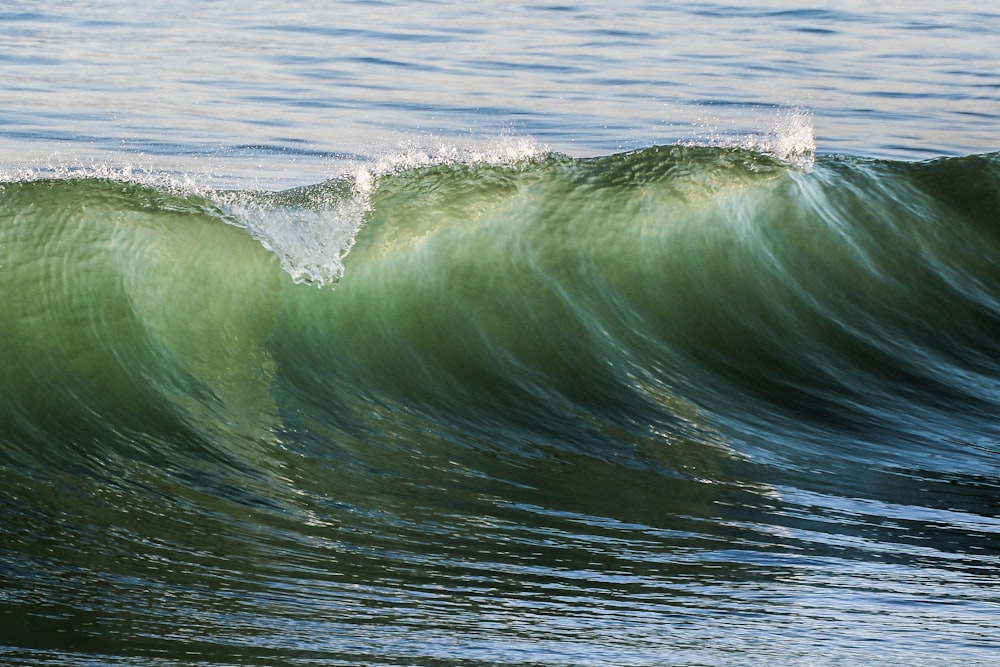 Fotografía de enfoque selectivo ola de mar