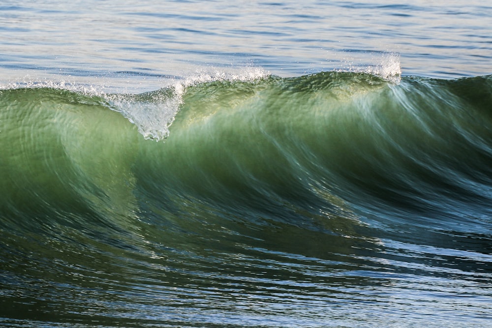 selective focus photography sea wave