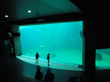 A panoramic view of a spacious room with multiple aquariums creating a peaceful atmosphere.