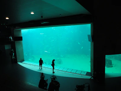 A panoramic view of a spacious room with multiple aquariums creating a peaceful atmosphere.