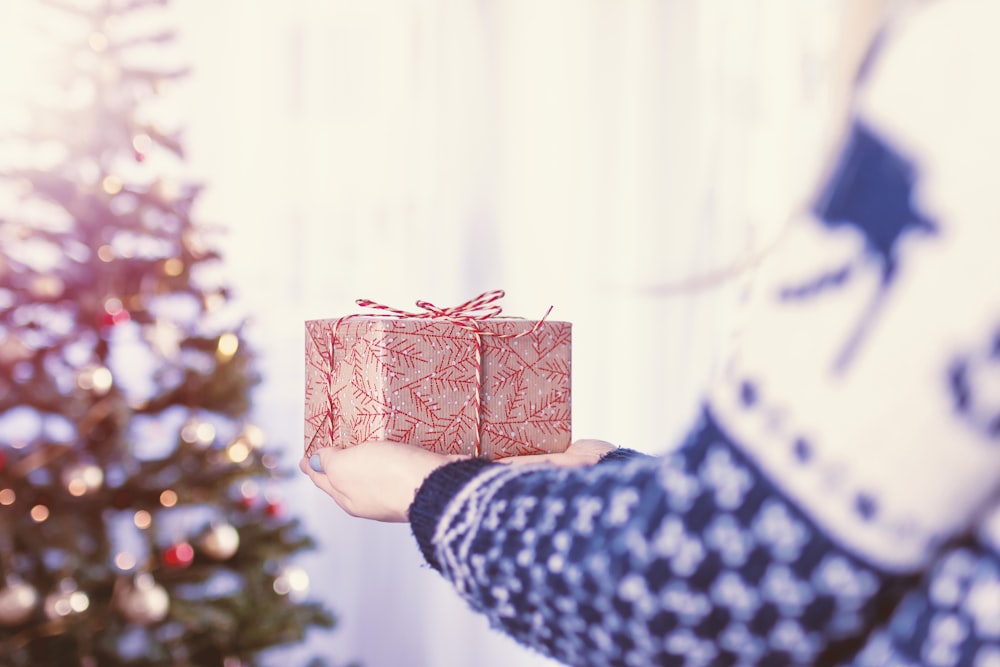 Person Holding Red And Brown Gift Box Infront Of Christmas Tree