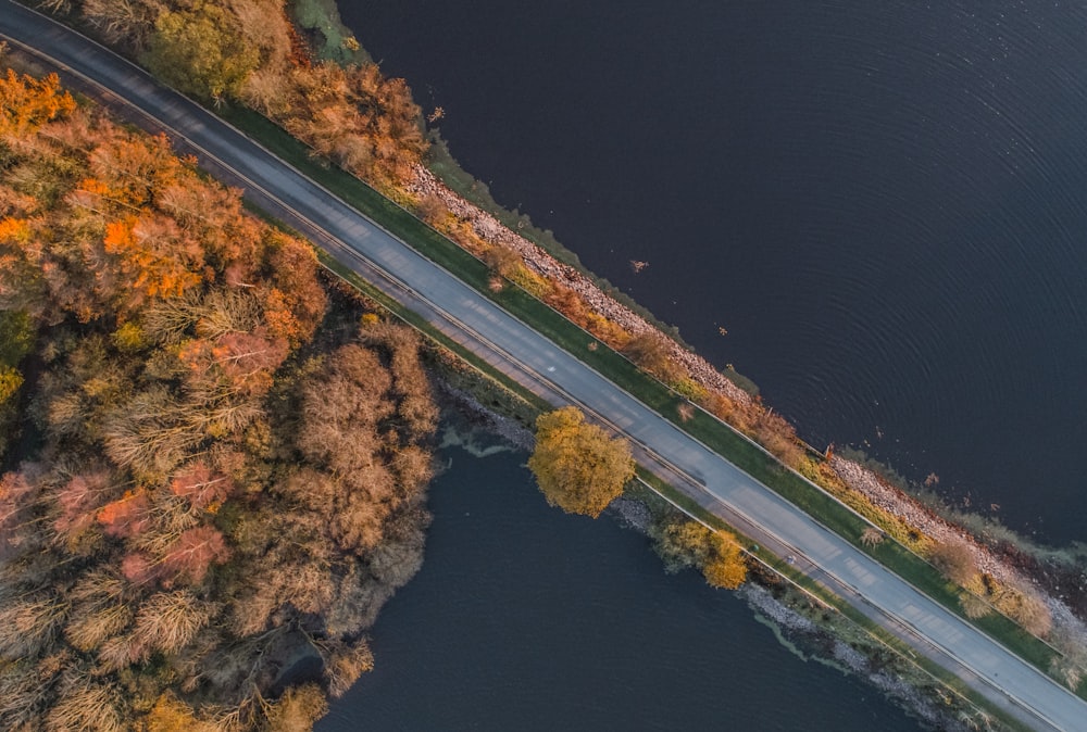 aerial photo of empty road near body of water