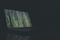 737 Chrome Vpn Extensions   Routing Traffic Through