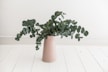 green plant in brown vsae