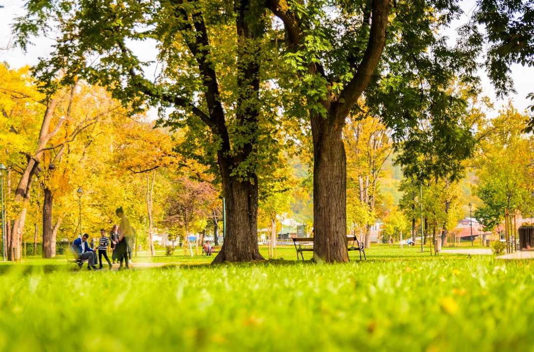 photo of people sitting on bench in park