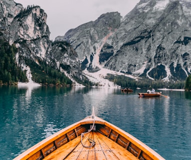 people in brown wooden boat