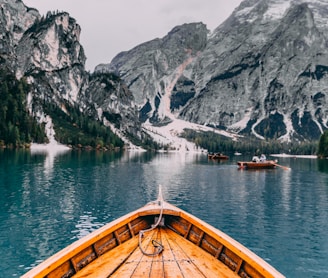 people in brown wooden boat