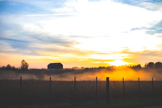 Sunset over a rural property with grazing cattle and a rustic fence.