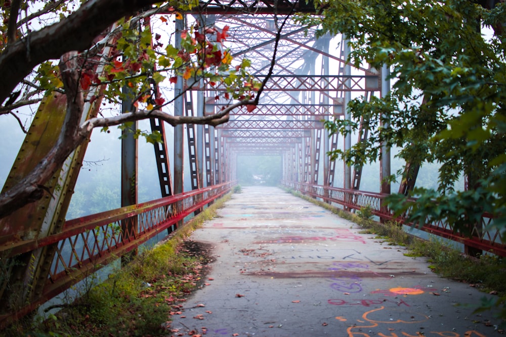 red and gray bridge with fog
