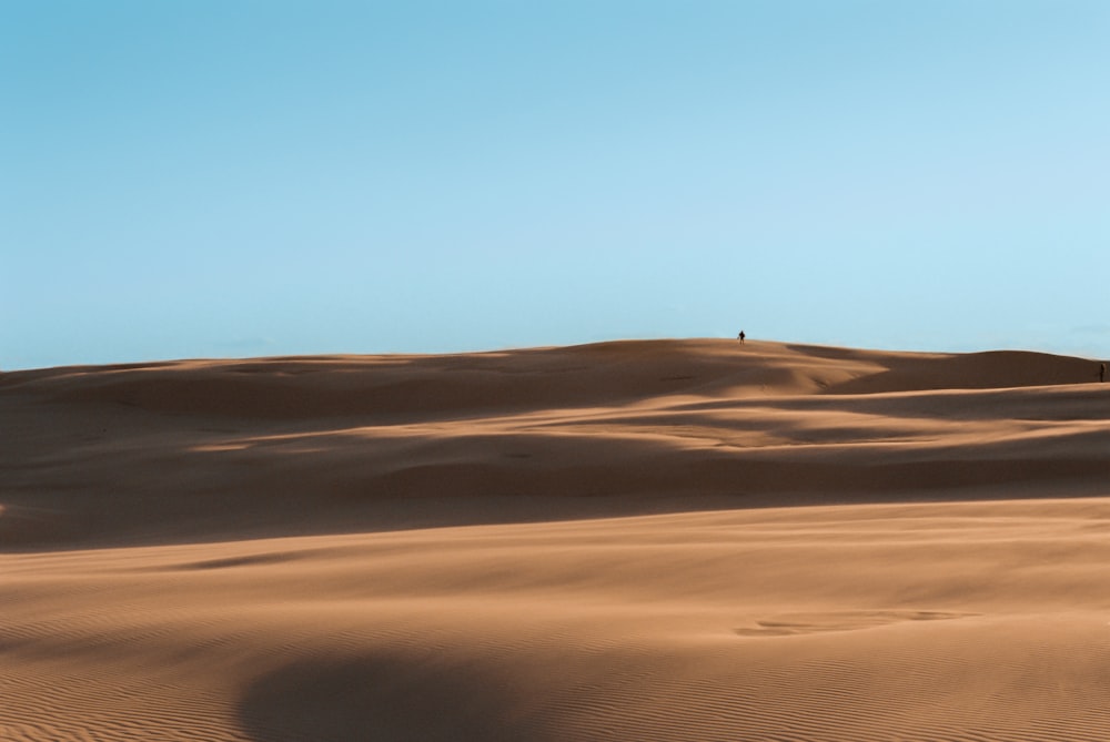 desierto bajo el cielo blanco