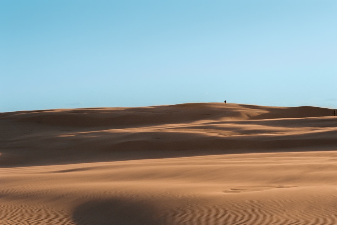 desert under white sky