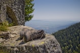 Close-up of well-worn hiking boots resting on a rocky outcrop with a panoramic view.