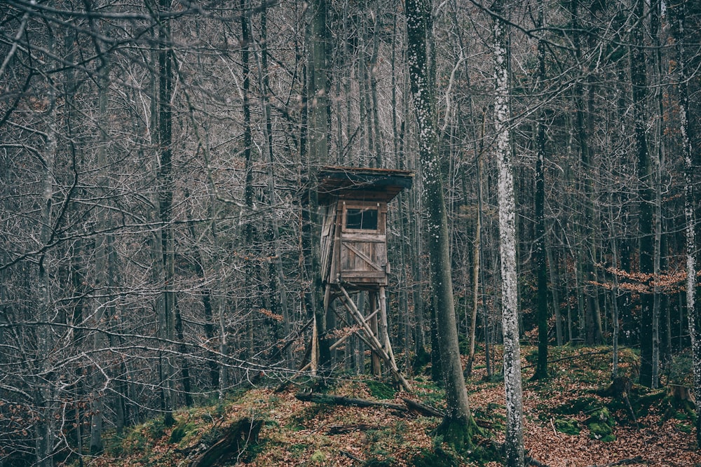tree house in the middle of the woods