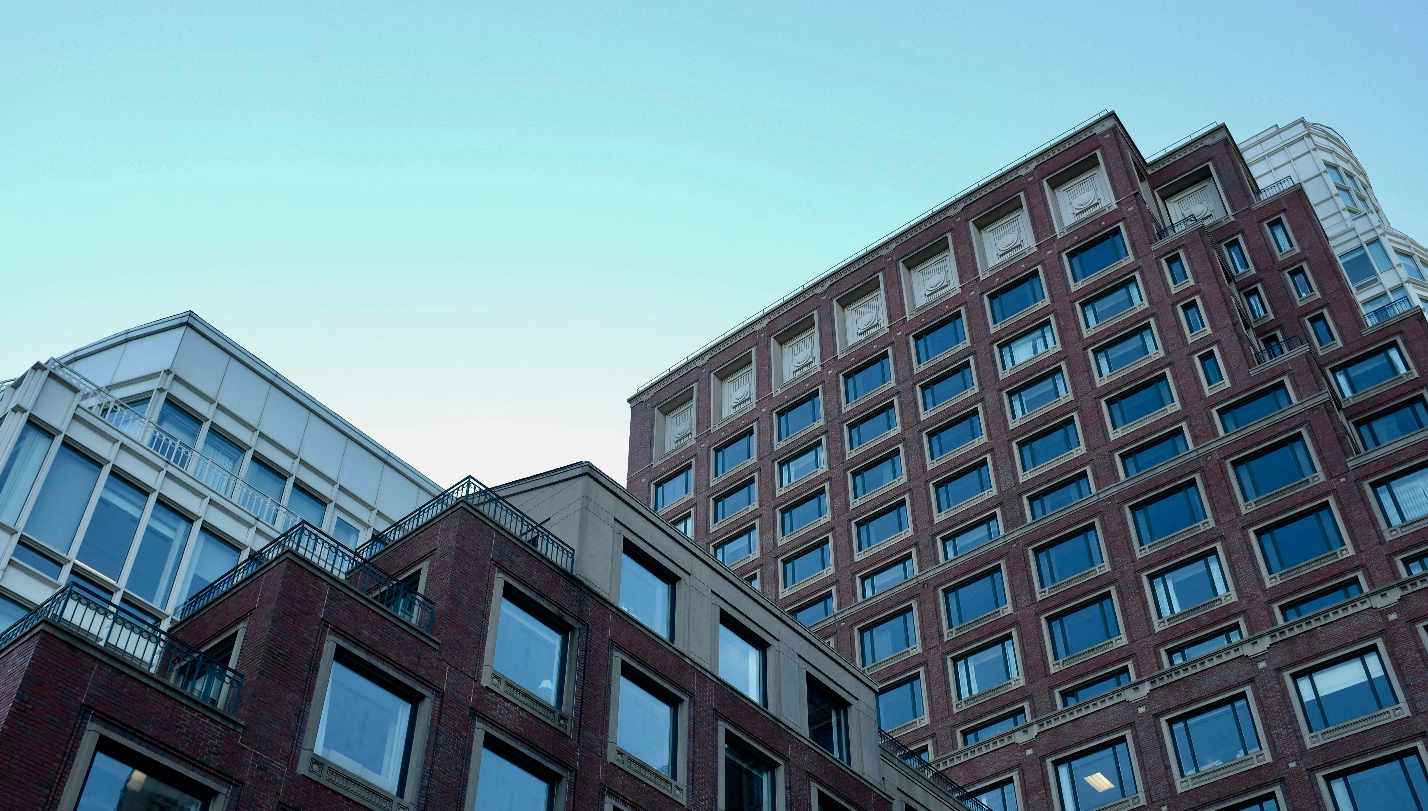 Hippocampal Contributions to Emotional Memory Contextualization