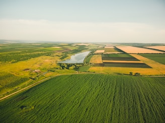 An aerial view of expansive agricultural fields stretching across the landscape, with a river winding through the center. The fields are divided into various sections with different shades of green and brown, indicating diverse crops or stages of growth.