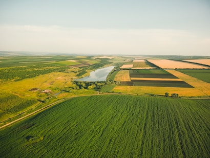 An aerial view of expansive agricultural fields stretching across the landscape, with a river winding through the center. The fields are divided into various sections with different shades of green and brown, indicating diverse crops or stages of growth.