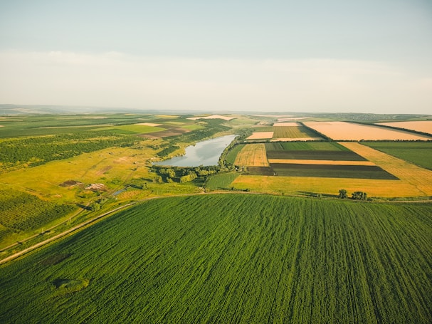 An aerial view of expansive agricultural fields stretching across the landscape, with a river winding through the center. The fields are divided into various sections with different shades of green and brown, indicating diverse crops or stages of growth.