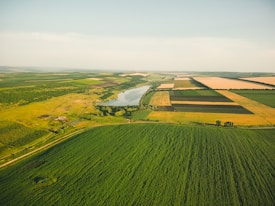 An aerial view of expansive agricultural fields stretching across the landscape, with a river winding through the center. The fields are divided into various sections with different shades of green and brown, indicating diverse crops or stages of growth.