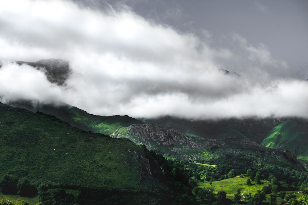 aerial view of mountain