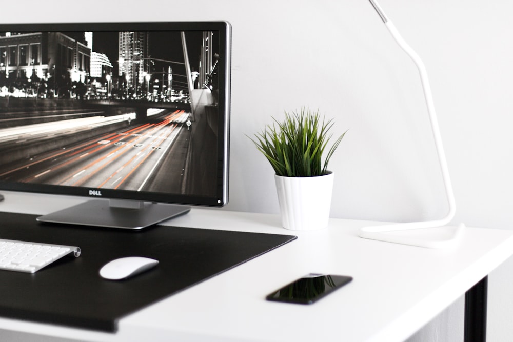 white plant pot beside desk lamp