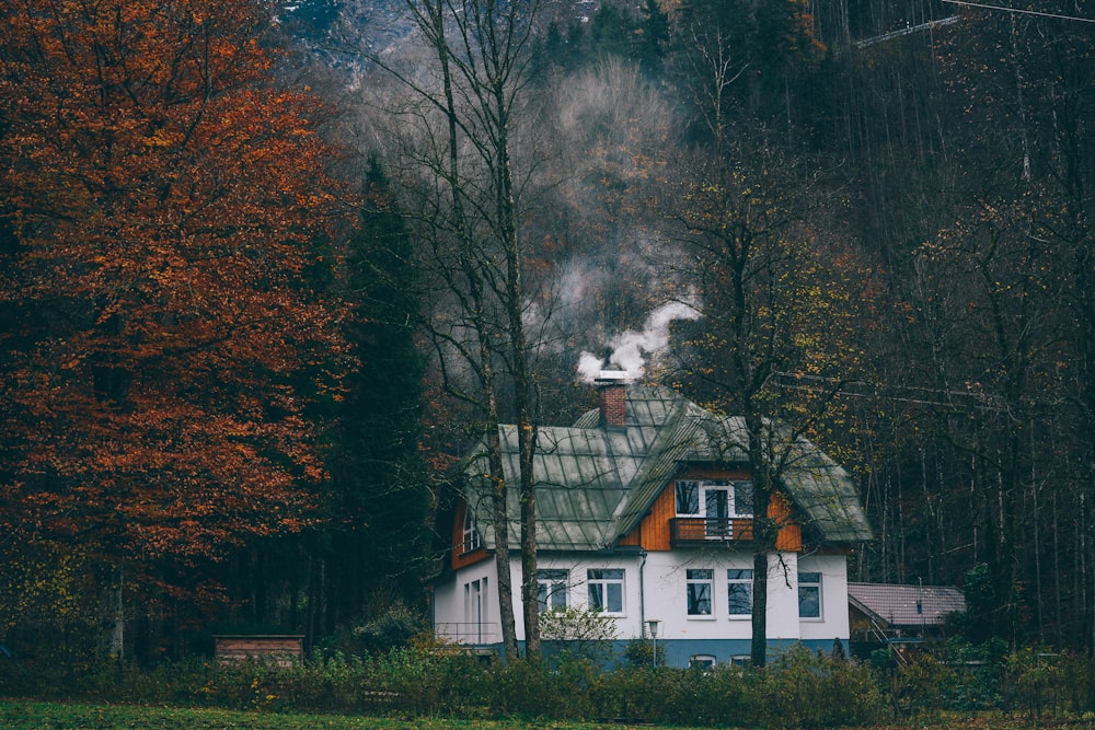 casa in cemento bianco e marrone circondata da albero