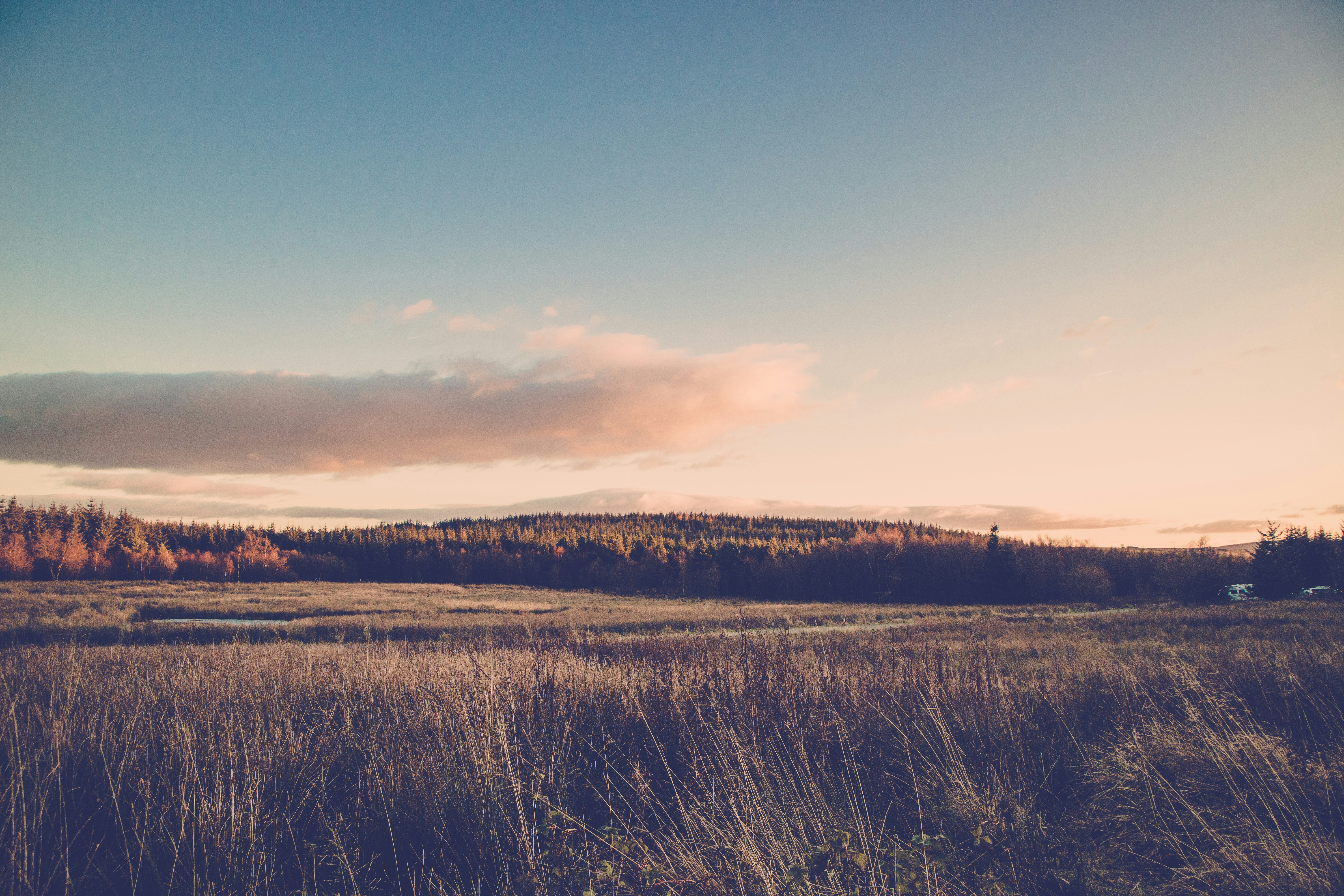 Photo by georgippetrov