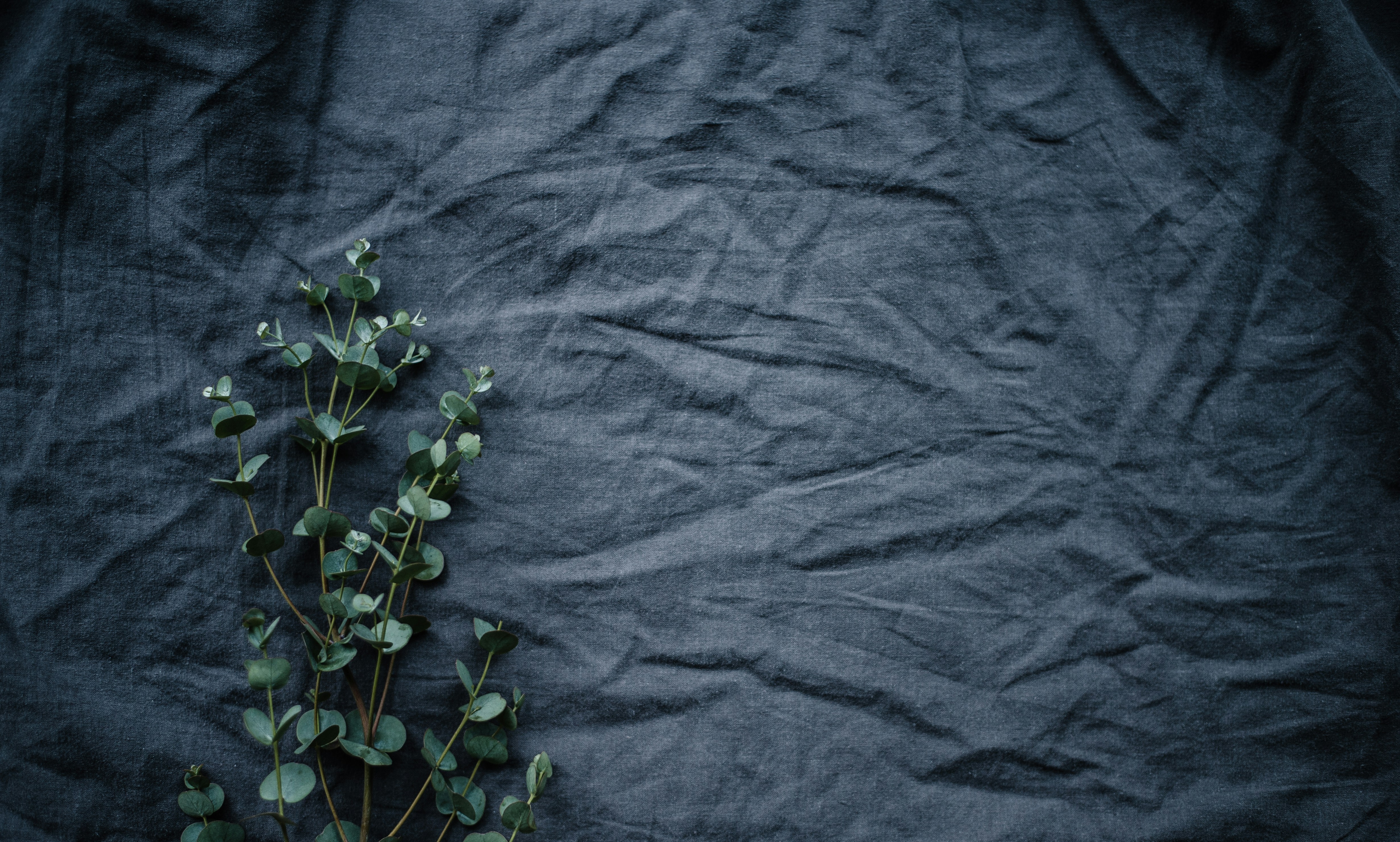How Do I Iron Silk Without Damaging It?