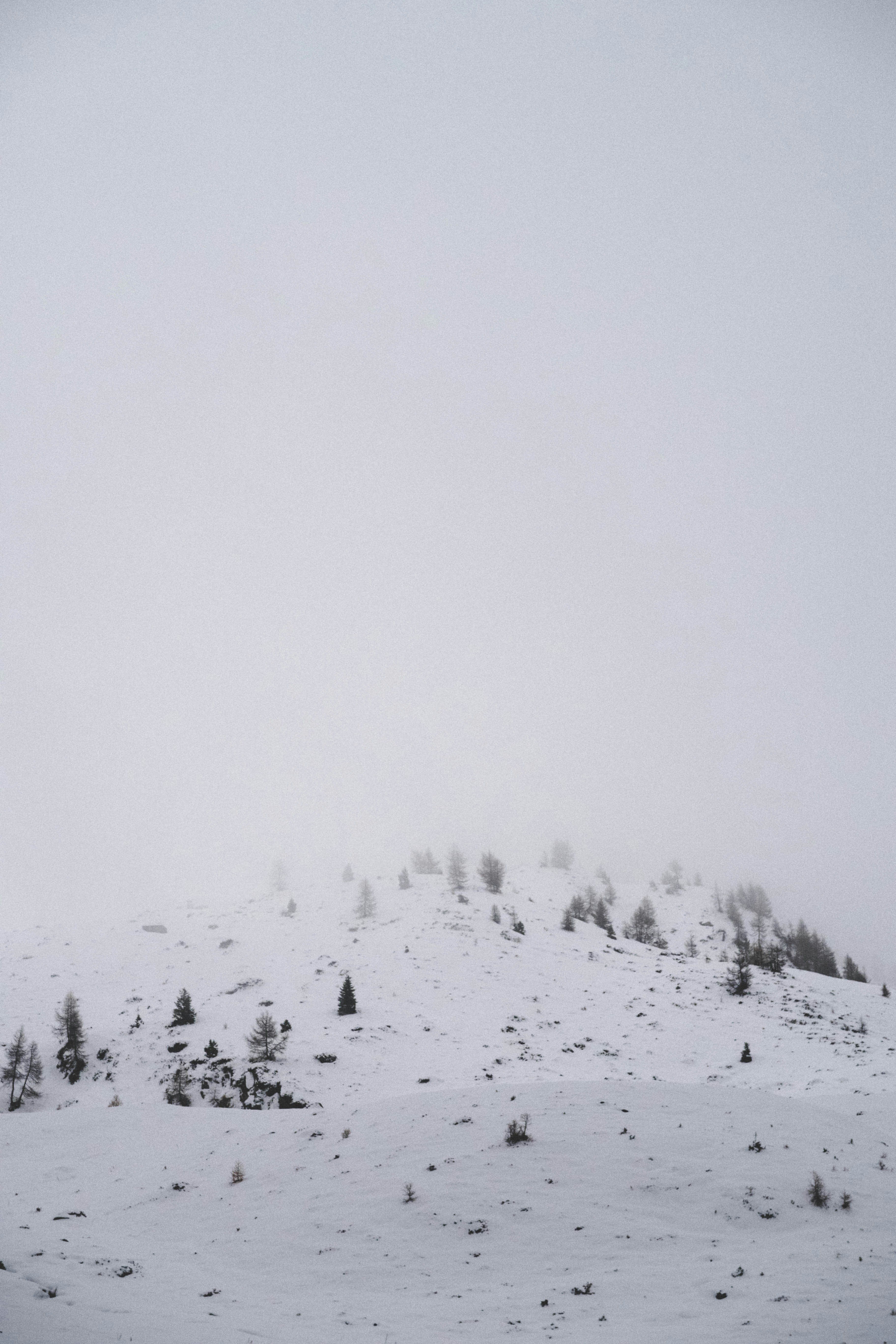 Photo by conti_photos