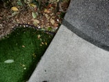 A scene consisting of green artificial grass on the left, dry leaves scattered around, and a textured gray concrete surface on the right. The area near the grass appears to have soil and is partially bordered by a black edge.
