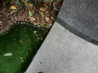 A scene consisting of green artificial grass on the left, dry leaves scattered around, and a textured gray concrete surface on the right. The area near the grass appears to have soil and is partially bordered by a black edge.