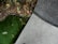 A scene consisting of green artificial grass on the left, dry leaves scattered around, and a textured gray concrete surface on the right. The area near the grass appears to have soil and is partially bordered by a black edge.